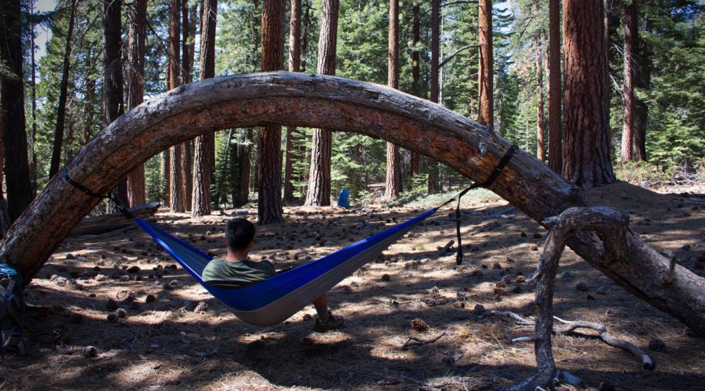 lounging on hammock