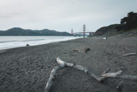 9 Fun Things To Do Naked in California